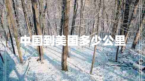 中國到美國多少公里
