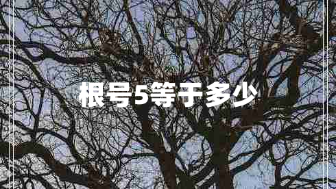 根號5等于多少