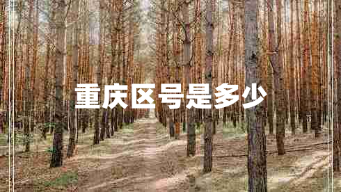 重慶區號是多少
