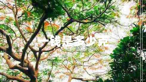 一錢(qián)是多少克