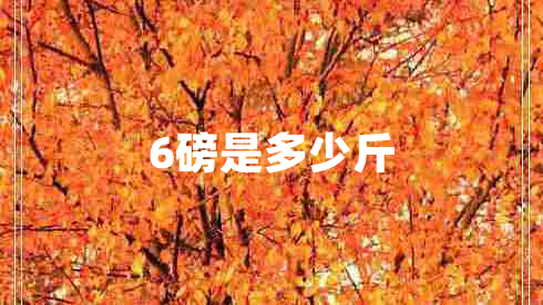 6磅是多少斤