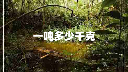 一噸多少千克
