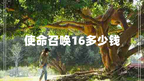 使命召喚16多少錢(qián)