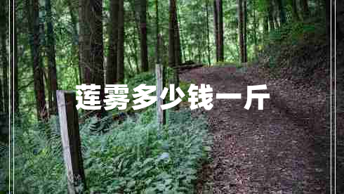 蓮霧多少錢(qián)一斤