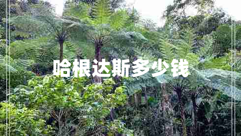 哈根達斯多少錢(qián)