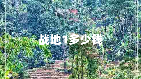 戰地1多少錢(qián)