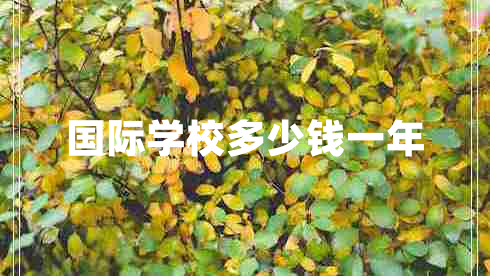 國際學(xué)校多少錢(qián)一年