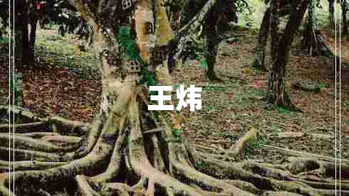 王煒