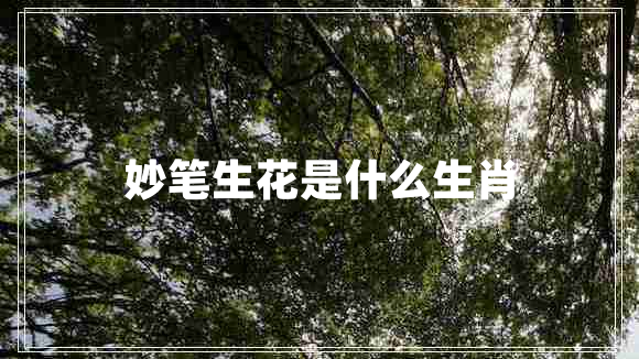 妙筆生花是什么生肖