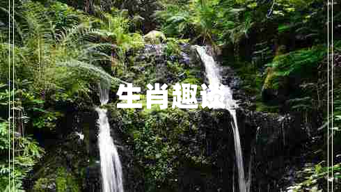 生肖趣談