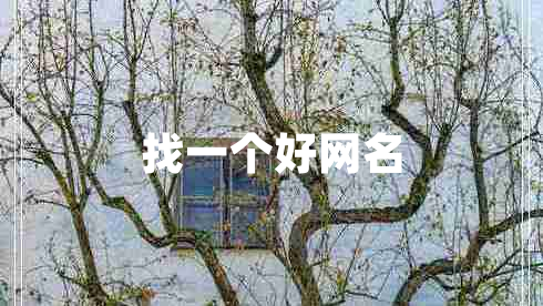 找一個(gè)好網(wǎng)名
