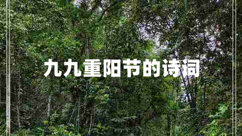 九九重陽(yáng)節的詩(shī)詞