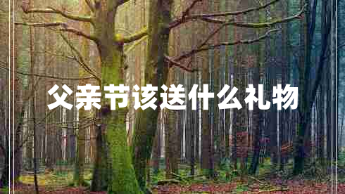 父親節該送什么禮物