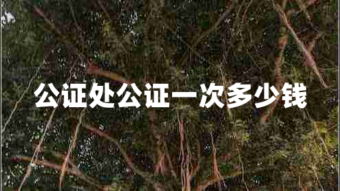 公證處公證一次多少錢(qián)