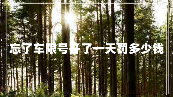 忘了車(chē)限號開(kāi)了一天罰多少錢(qián)