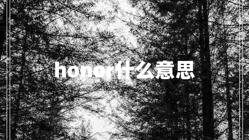 honor什么意思