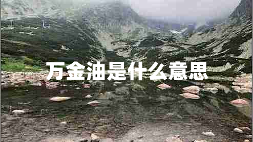 萬(wàn)金油是什么意思