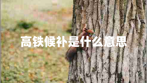 高鐵候補是什么意思