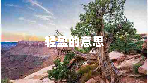 輕盈的意思