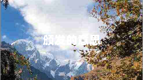 頒發(fā)的意思