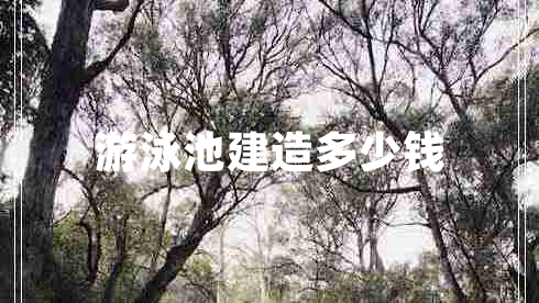 游泳池建造多少錢(qián)