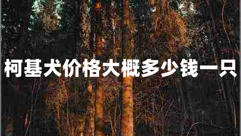 柯基犬價(jià)格大概多少錢(qián)一只