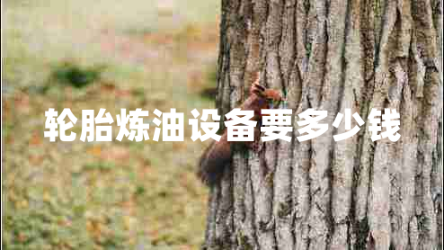 輪胎煉油設備要多少錢(qián)