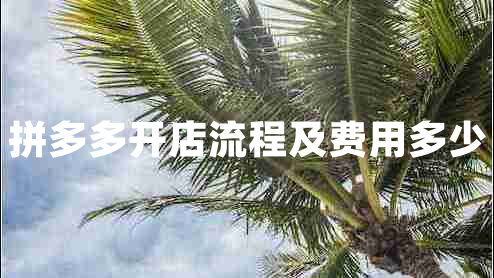 拼多多開(kāi)店流程及費用多少