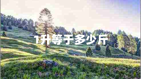 1升等于多少斤
