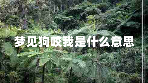 夢(mèng)見(jiàn)狗咬我是什么意思