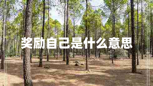獎勵自己是什么意思