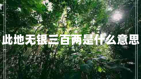 此地無(wú)銀三百兩是什么意思