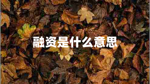 融資是什么意思
