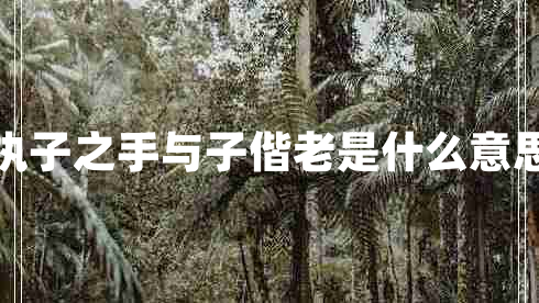 執子之手與子偕老是什么意思