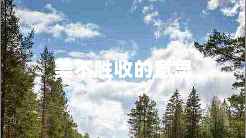 美不勝收的意思