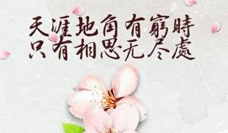用古詩(shī)暗示我想你了的句子
