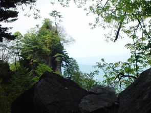 擲缽峰典故