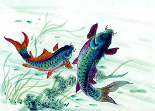 鯉魚(yú)跳龍門(mén)的典故,鯉魚(yú)的來(lái)歷典故,鯉魚(yú)焙面的典故