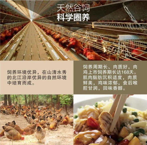 脆的典故