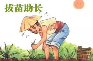 拔苗助長(cháng)的典故