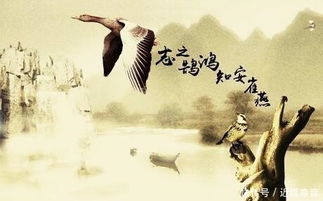 鴻鵠之志的典故