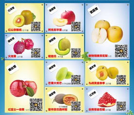 擲水果典故