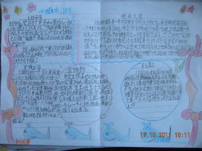 典故,成語(yǔ),手抄報