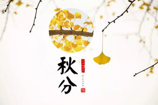 秋分典故