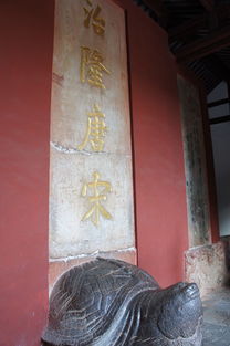 典故,孫權,永遇樂(lè )