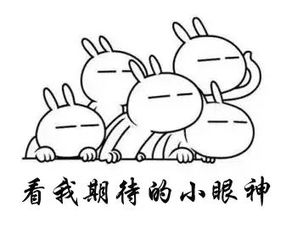 關(guān)于蘋(píng)果的典故