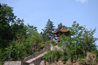 紫金山典故