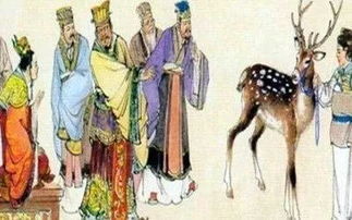 秦朝的典故,秦朝故事典故,秦朝的典故成語(yǔ)