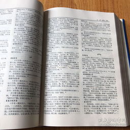 唐詩(shī)典故詞典