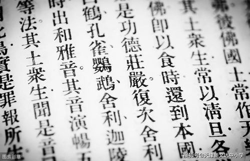 典故與成語(yǔ)的區別